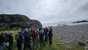 Read more about the article The purpose of a movement