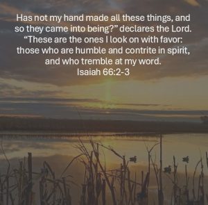 Read more about the article Sine Propio