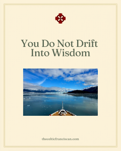 Read more about the article You Do Not Drift Into Wisdom